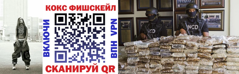 COCAIN Эквадор Великий Новгород