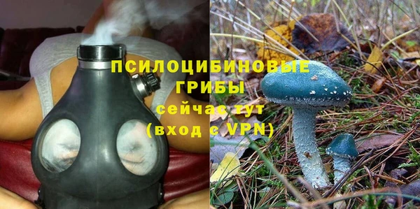 дживик Абинск