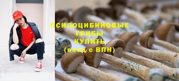 дживик Абинск