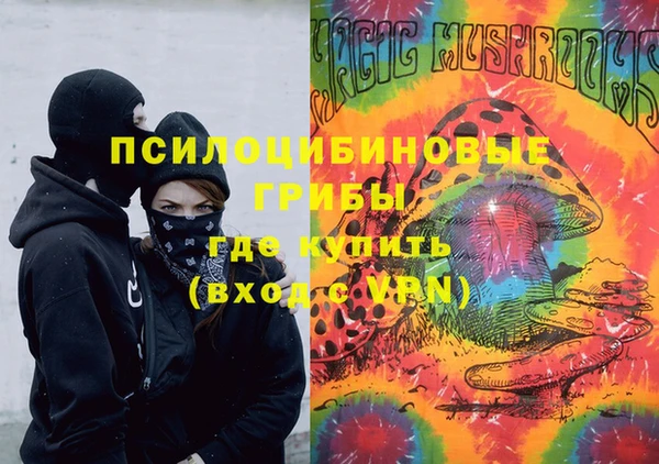 дживик Абинск